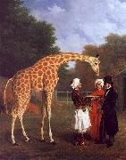 Jacques-Laurent Agasse The Nubian Giraffe oil painting artist